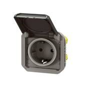 2P+T germ ba anth compo