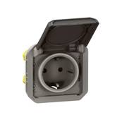 2P+T germ ba anth compo