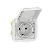 2P+T germ ba blanc compo