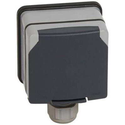 Prise 3P+n+t 20a plexo 66