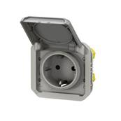 2P+T germ ba gris compo