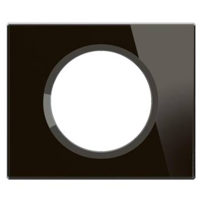 Plaque 1 Poste Verre Onyx Noir