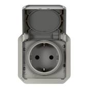 2P+T germ ba gris compo