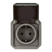 2P+T germ ba anth compo